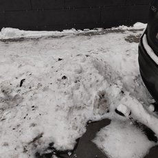 Ведущий Сергей Ерастов